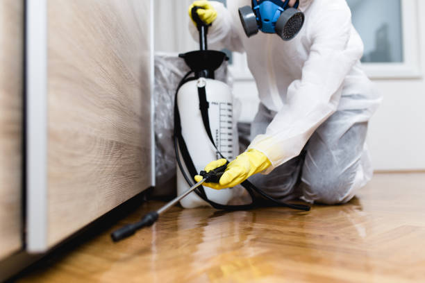 Best Best Pest Control Companies  in Boaz, WV