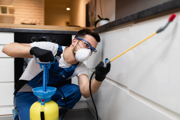 Best Pest Control Near Me  in Boaz, WV