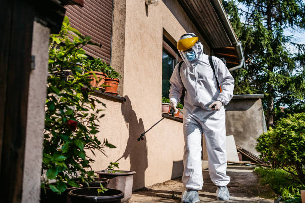 Best Pest Removal Services  in Boaz, WV