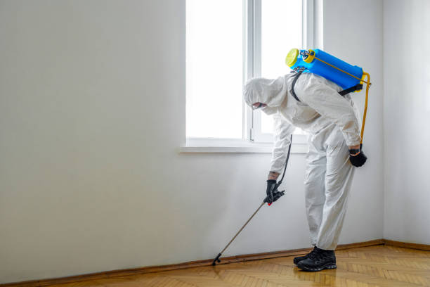 Best Pest Inspection Near Me  in Boaz, WV