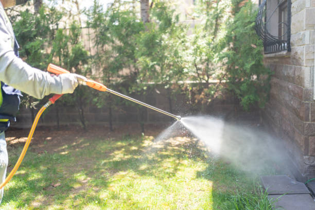 Professional Pest Control in Boaz, WV