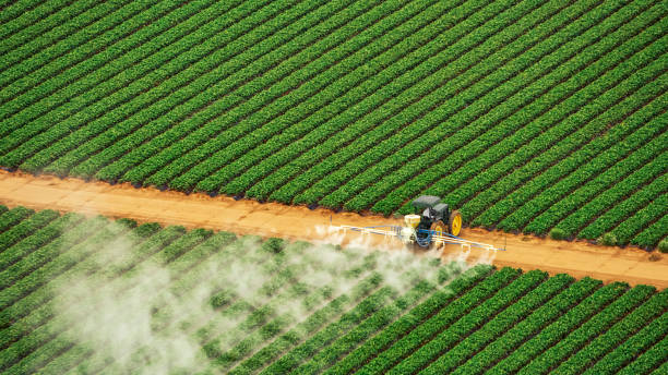 Best Pest Control for Homes  in Boaz, WV